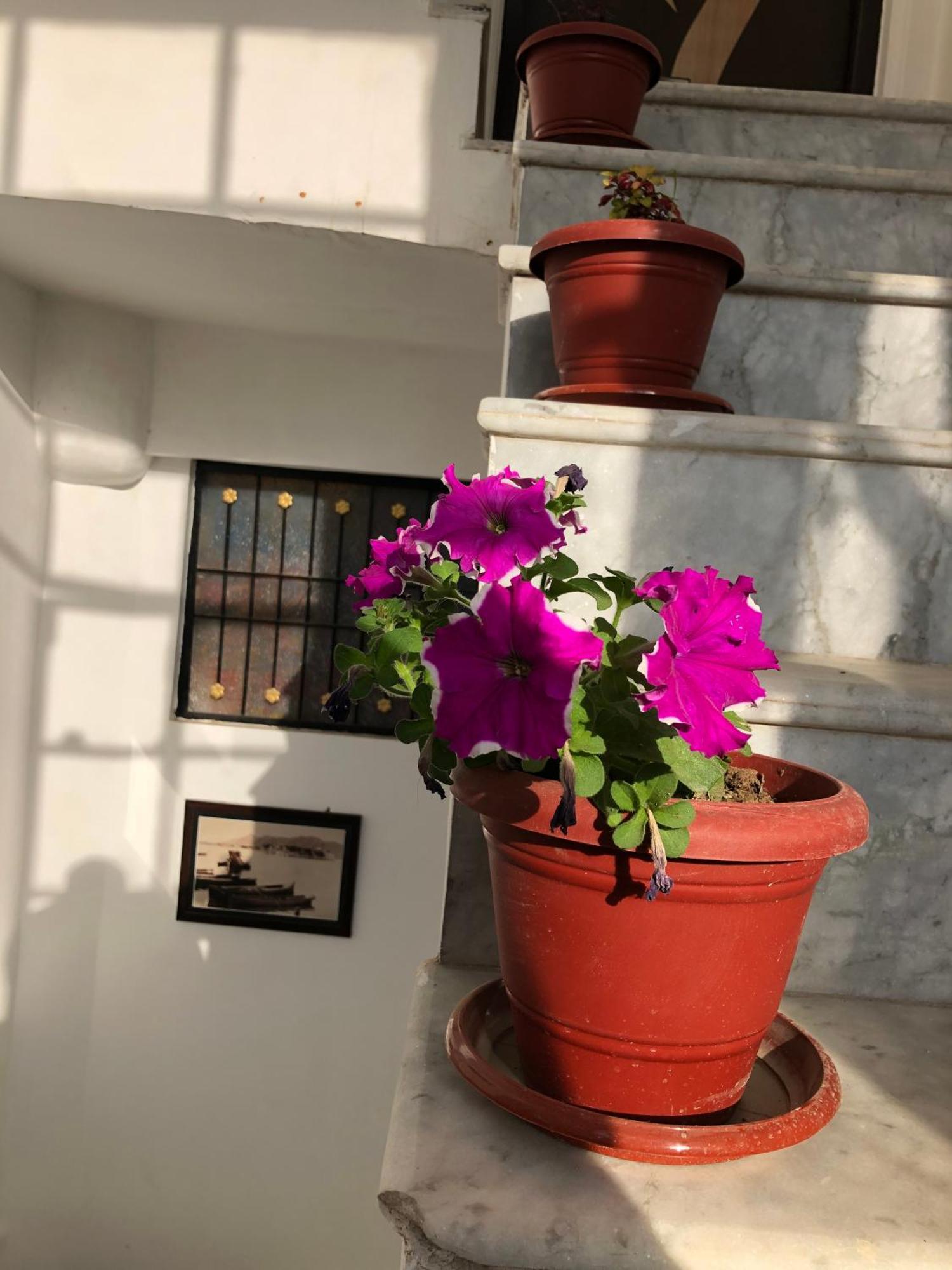 Hotel Nirvana Lakeside Udaipur Kültér fotó