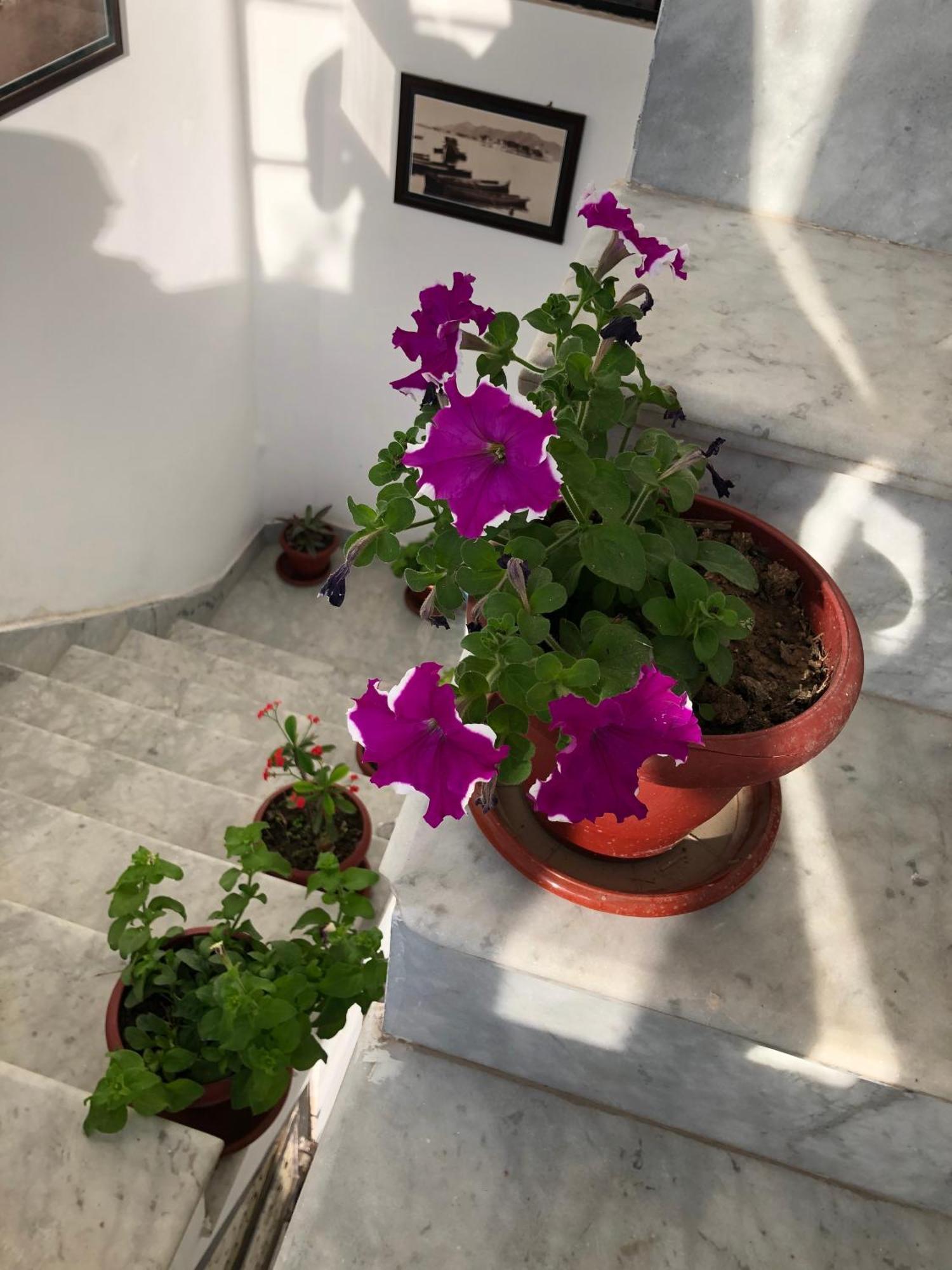 Hotel Nirvana Lakeside Udaipur Kültér fotó